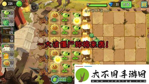 植物大战僵尸2功夫世界第十天攻略