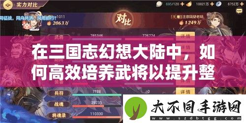 在三国志幻想大陆中
