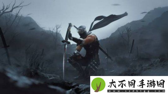 忍龙制作人感谢玩家支持