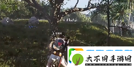 七日世界苹果如何收集