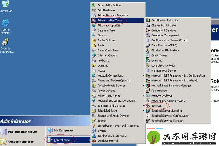 VPSWINDOWS另类乱