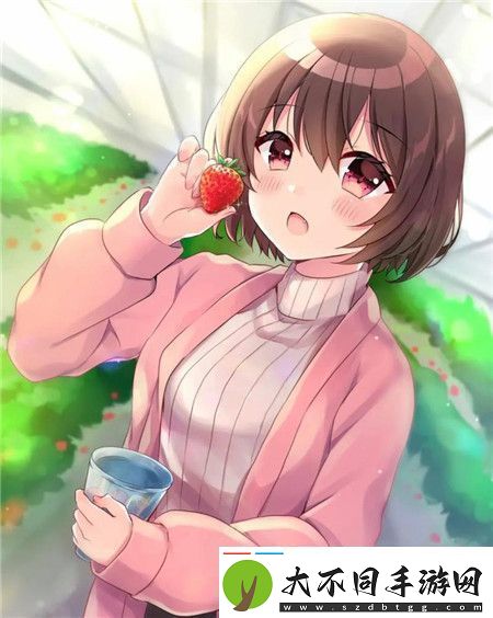 91秘入口