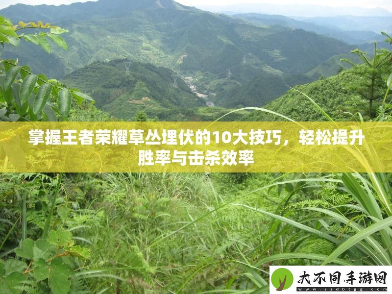 掌握王者荣耀草丛埋伏的10大技巧