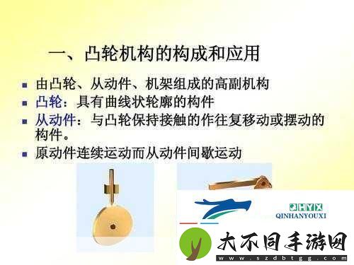 性别自由凸轮管阿拉伯