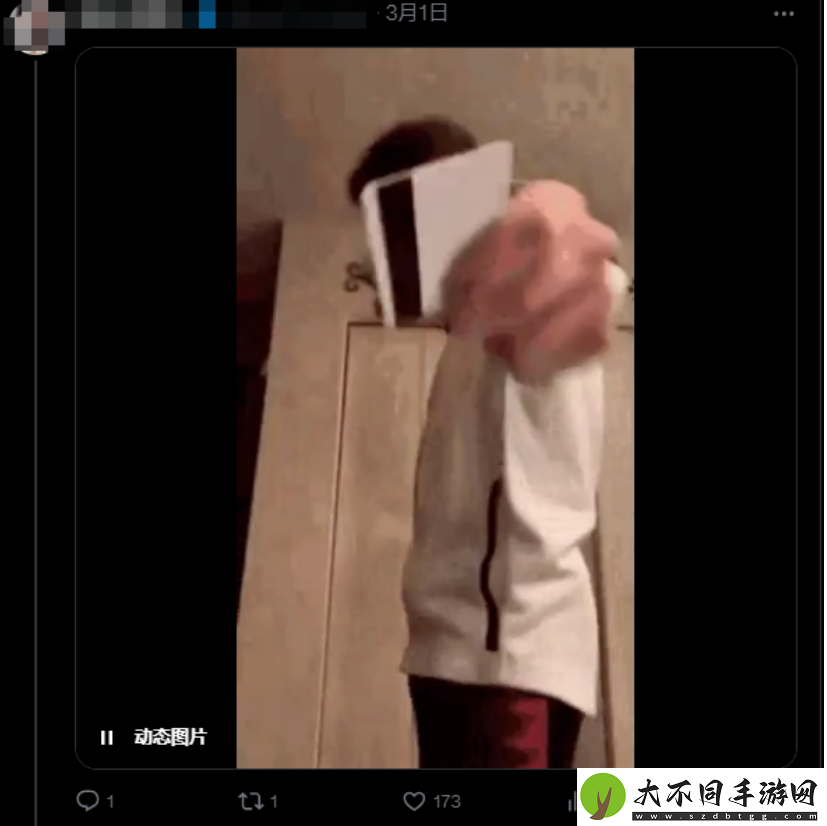 大乃子有没有错