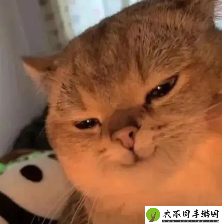 大乃子有没有错