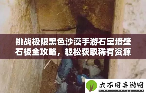 挑战极限黑色沙漠手游石室墙壁石板全攻略