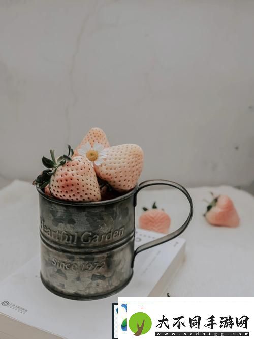 草莓樱桃水蜜桃