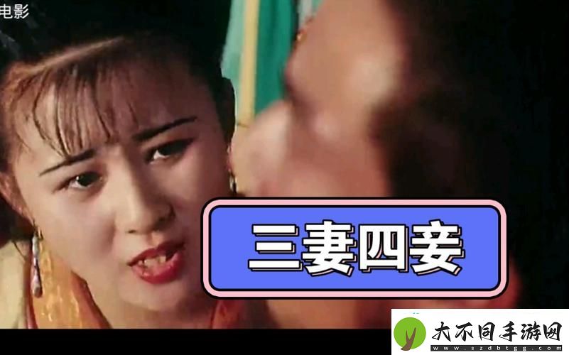 三妻四妾全集免费观看