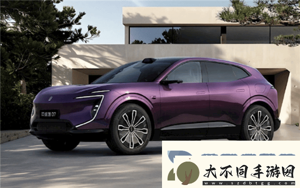 2024新能源车主心声