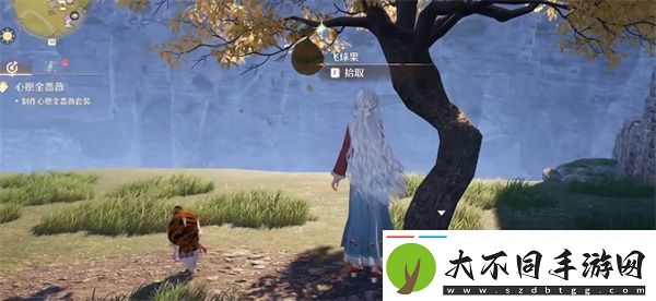 无限暖暖飞球果具体位置分享