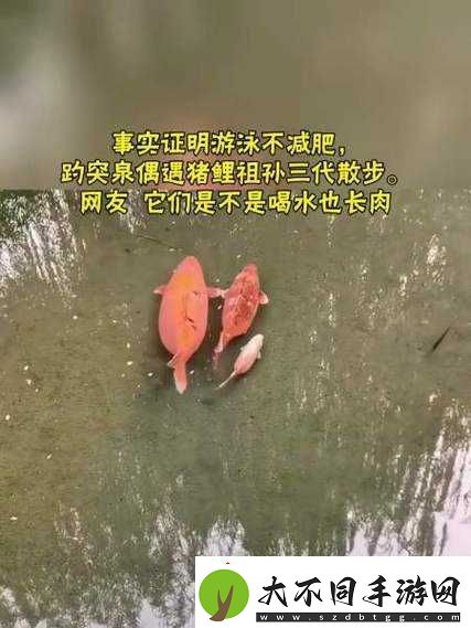 女人绝技鲤鱼喝水