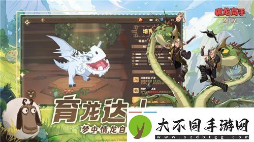 驯龙高手