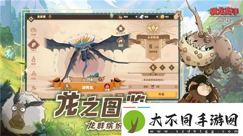 驯龙高手