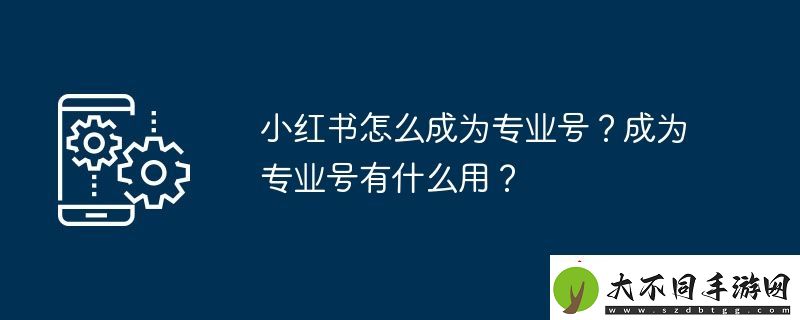 小红书怎么成为专业号