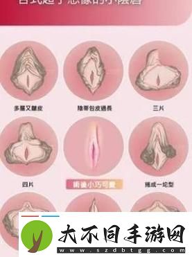 探索“女人私密又白又深又好看”的秘密
