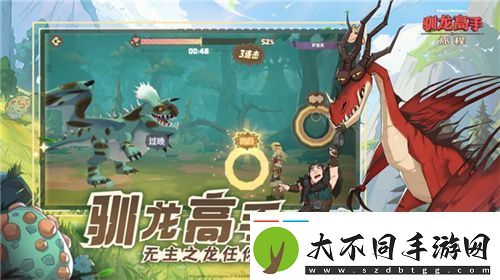 驯龙高手