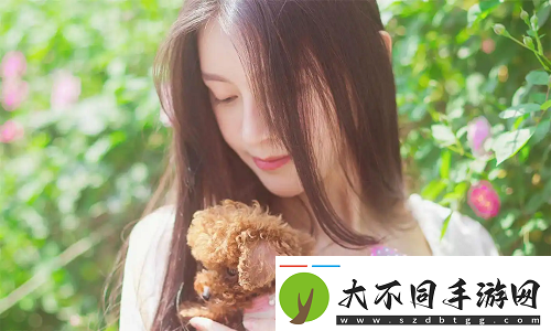 成品免费ppt网站入口
