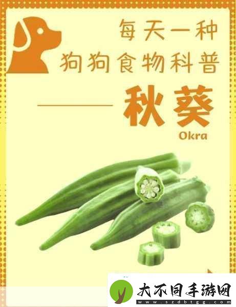 夏日清爽
