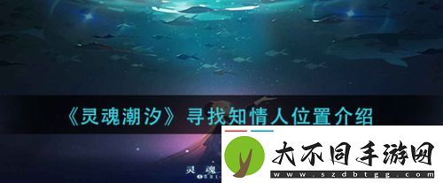 灵魂潮汐寻找知情人怎么过