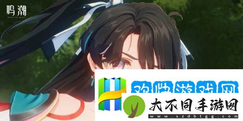 鸣潮折枝声骸怎么搭配-鸣潮折枝声骸搭配推荐-互动剧情