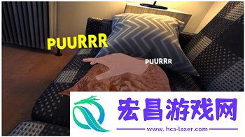 探索最佳搭配方案及玩法技巧