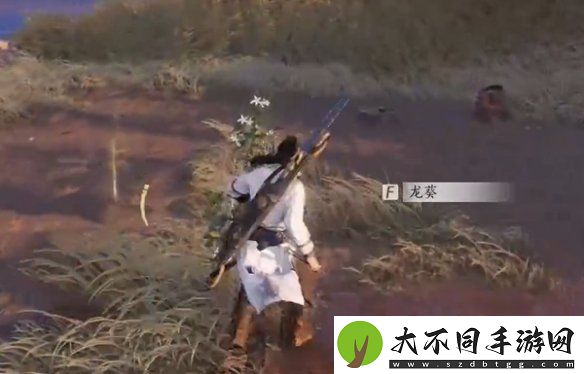 燕云十六声杏花不见怎么获得