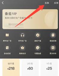 番茄VIP兑换码在哪里输入
