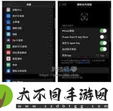 苹果手机怎么取消下载按两下旁边的按键