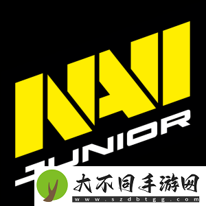 Tundra战胜NAVI后晋级到梦幻联赛S26淘汰赛