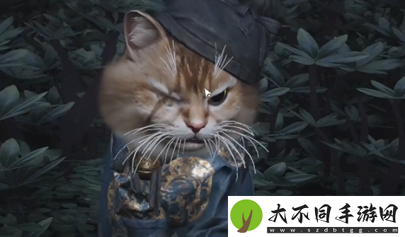 燕云十六声七阀坡猫咪在哪