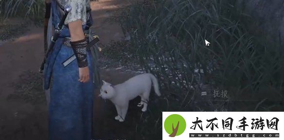 燕云十六声七阀坡猫咪在哪