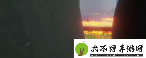 光遇秘密基地顶楼在哪