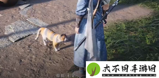 燕云十六声七阀坡猫咪在哪