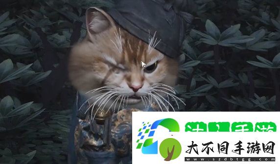 燕云十六声七阀坡猫咪在哪燕云十六声七阀坡猫戏全收集攻略