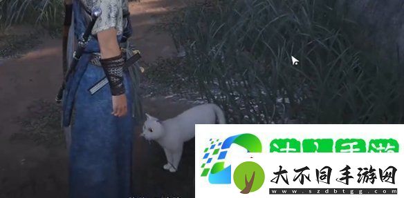 燕云十六声七阀坡猫咪在哪燕云十六声七阀坡猫戏全收集攻略