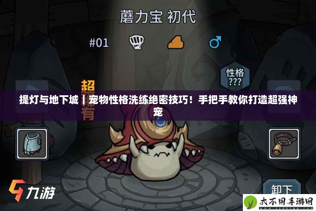 提灯与地下城｜宠物性格洗练绝密技巧！手把手教你打造超强神宠