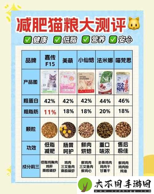 爆肝整理！小森生活猫粮获取全攻略