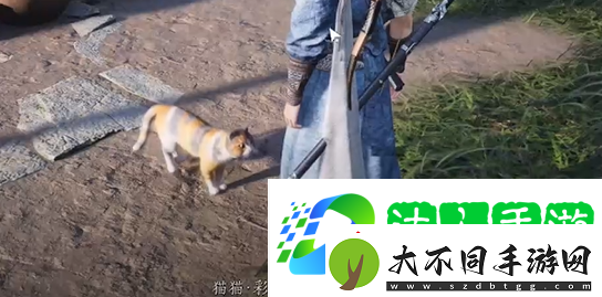 燕云十六声七阀坡猫咪在哪燕云十六声七阀坡猫戏全收集攻略