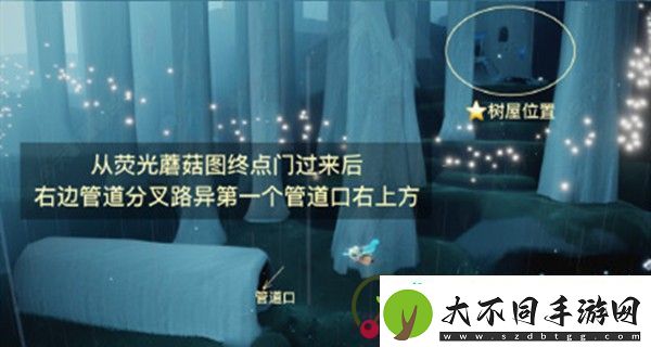 光遇集结季7位先祖位置大全