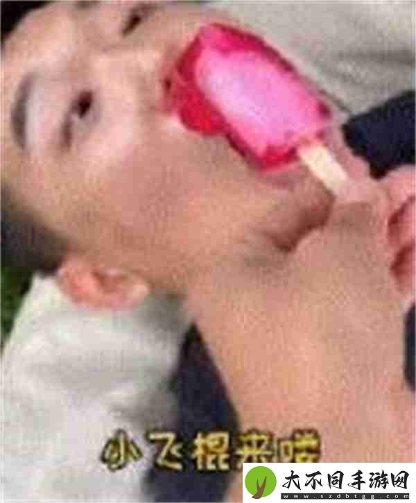 抖音小飞棍来喽是什么梗