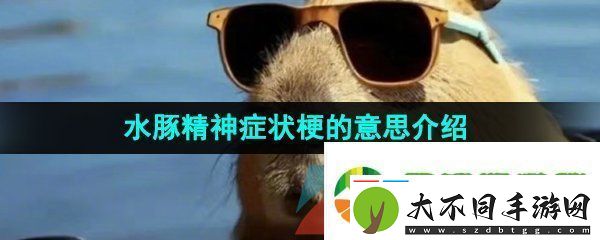 抖音水豚精神症状是什么梗