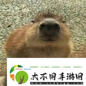 抖音水豚精神症状是什么梗