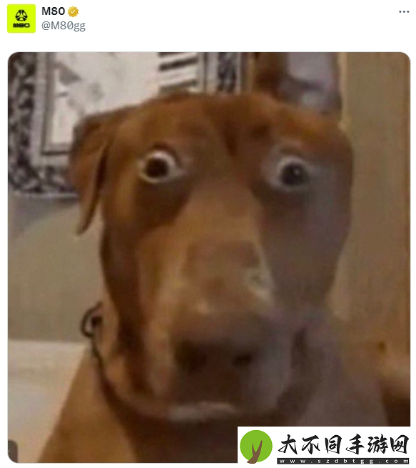 社区热议m0NESY转会传闻汇总