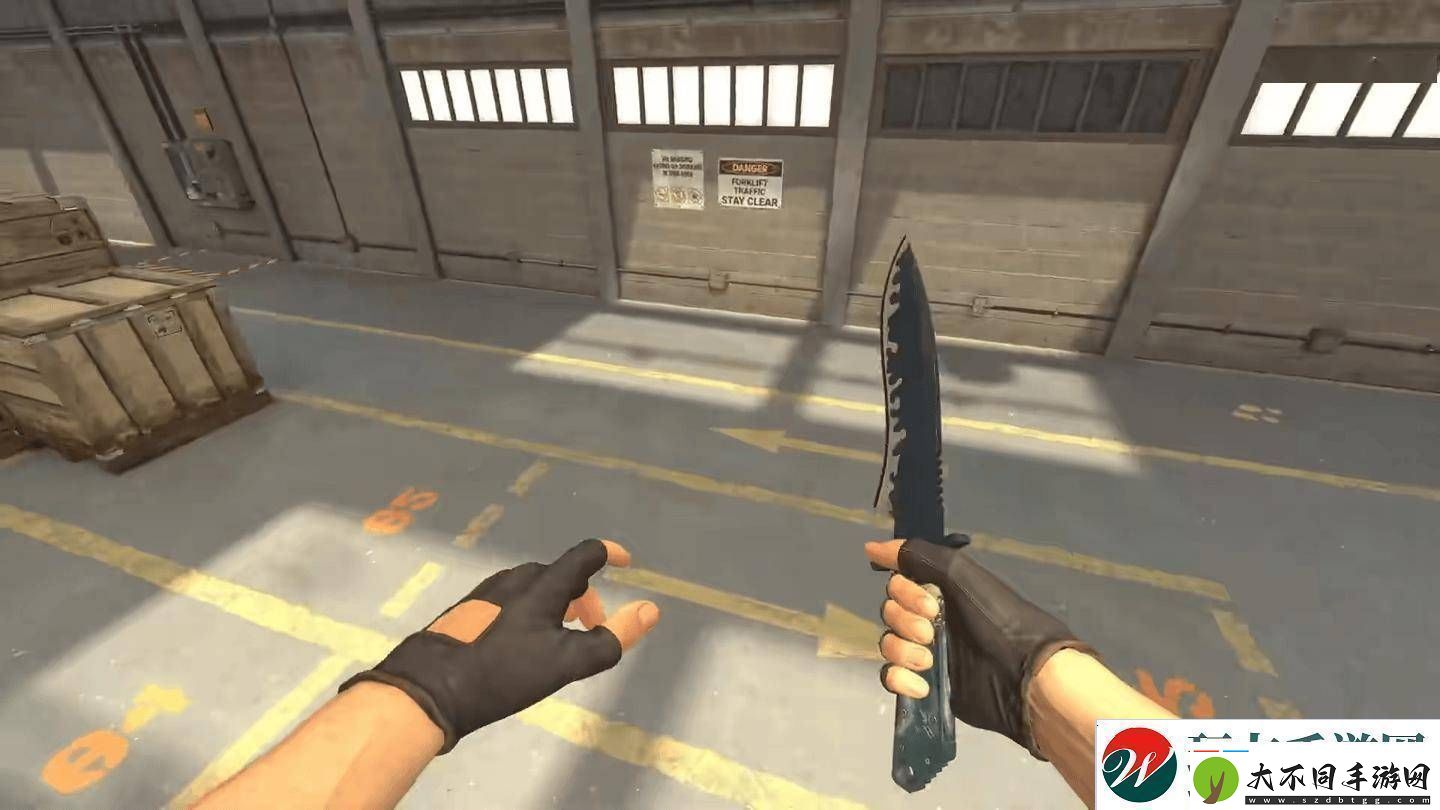 CS