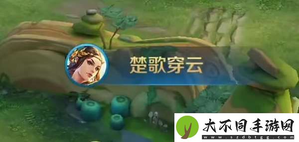 王者最稀有的六个播报