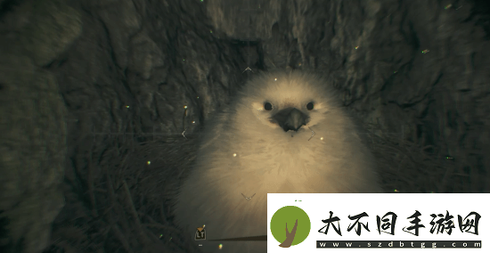 怪物猎人