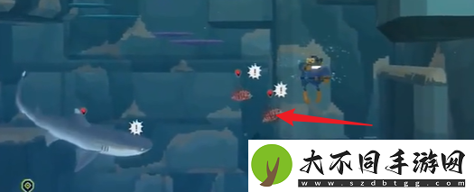潜水员戴夫银泰坦板甲鱼怎么抓
