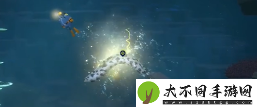 潜水员戴夫斑点海鳗怎么抓