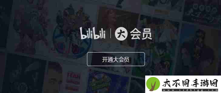 b站大会员有什么权益